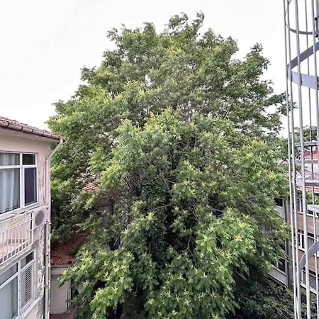 公寓 Cosy House In Amazing Location. Kadikoy Moda 2br 伊斯坦布尔